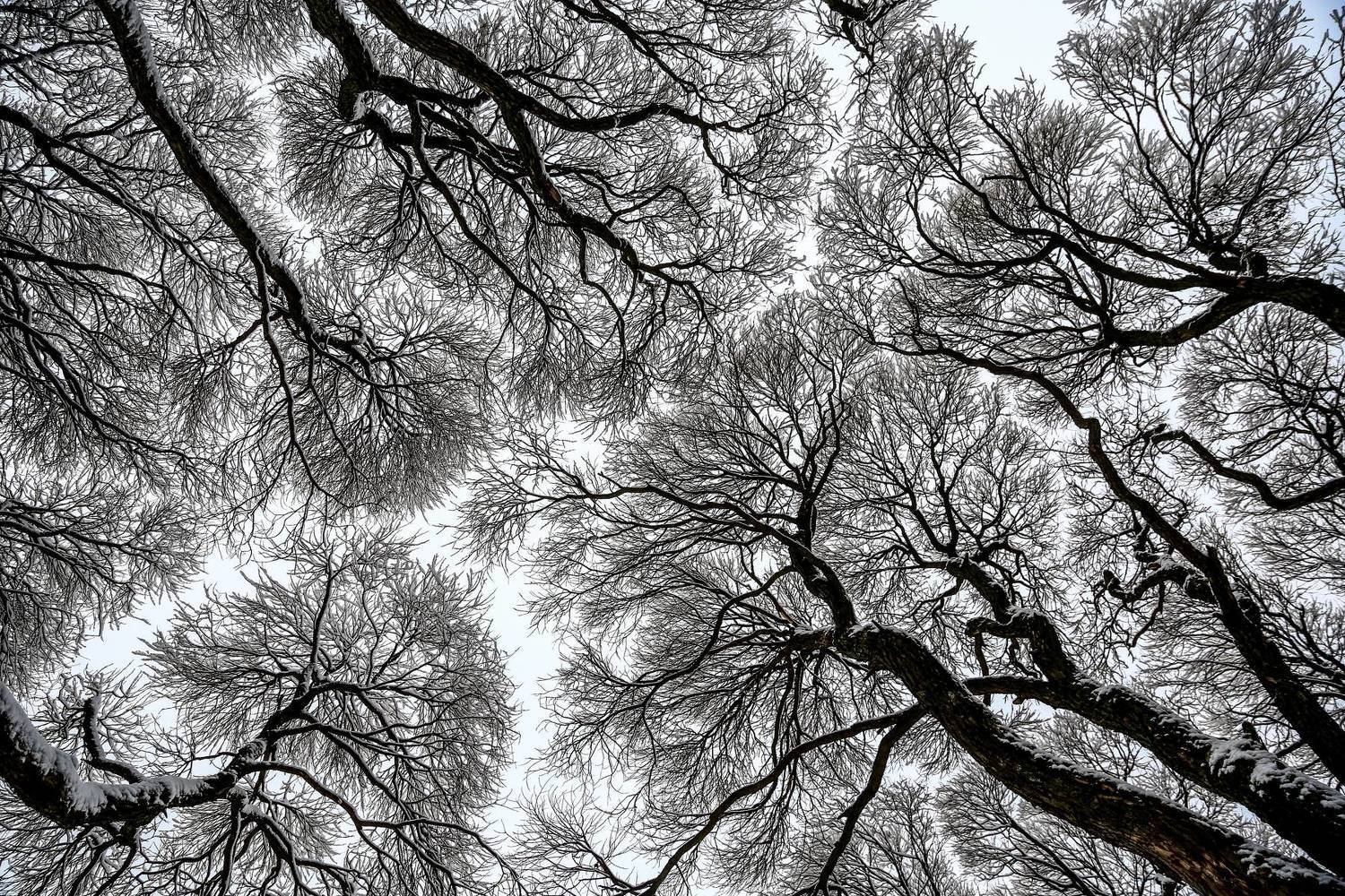 , Сергей Корнильев