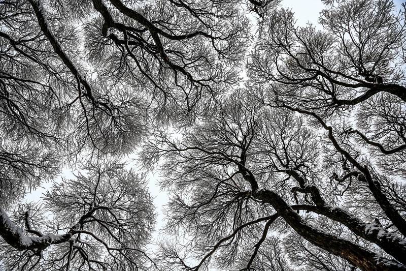 Поднимая взгляд. фото превью