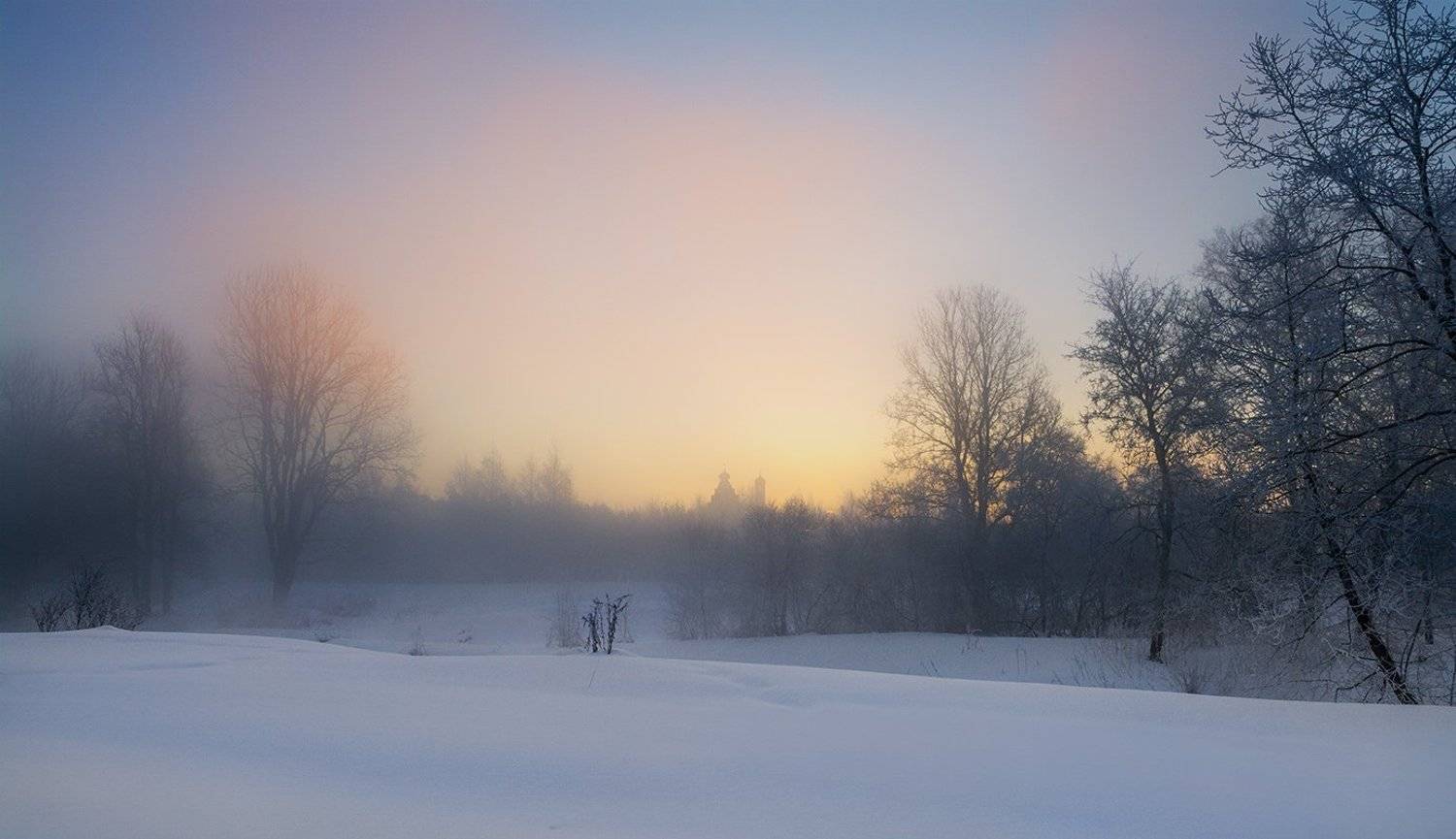, Анатолий Зверев