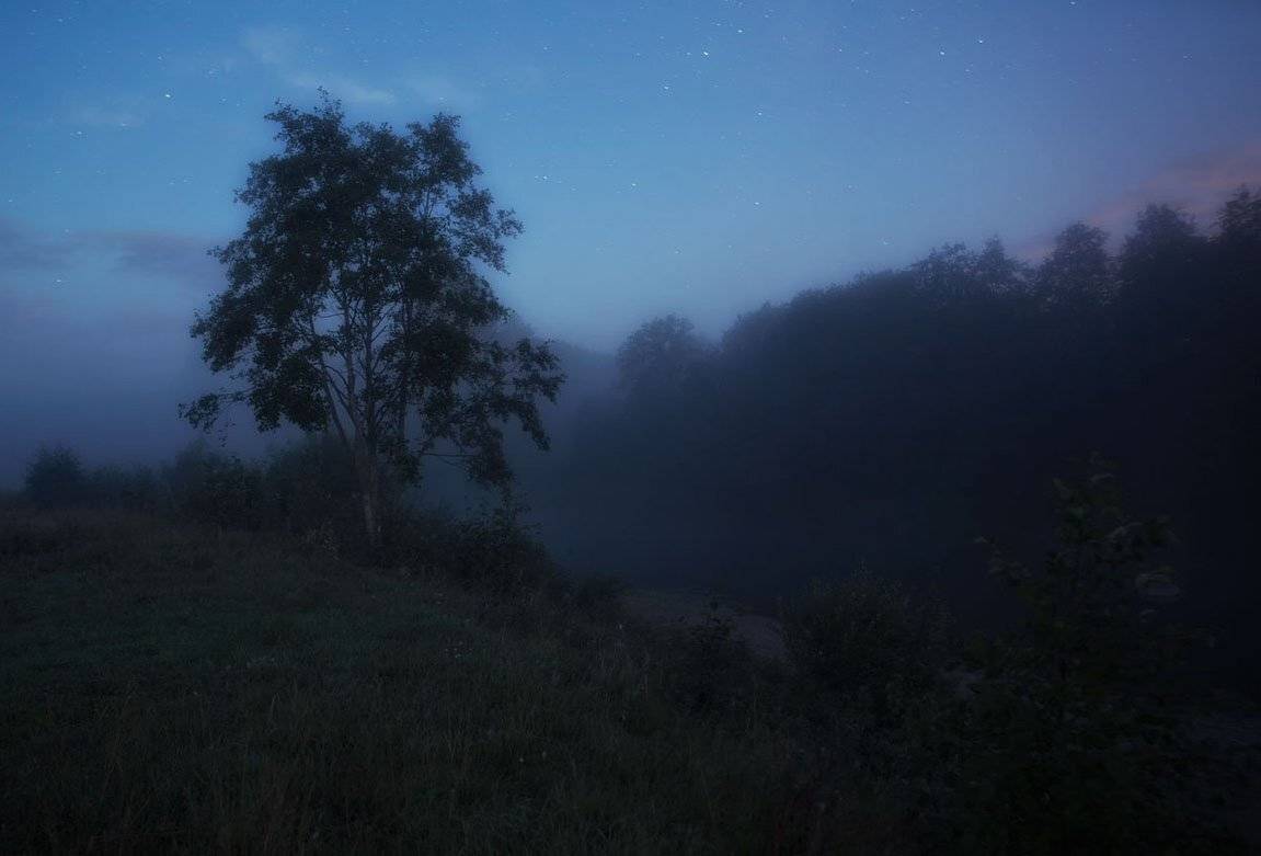 , Хохряков Николай