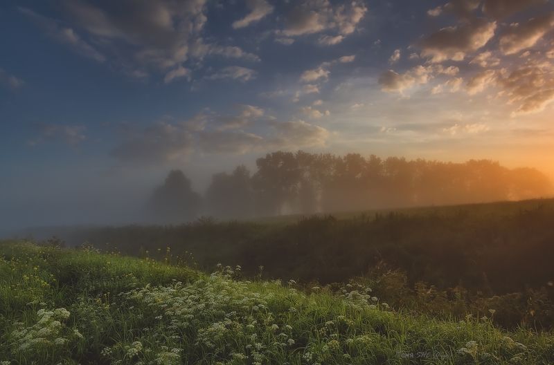 landscape, tsarskoyeselo, пейзаж, питер, царскоесело, царское К лету..... фото превью