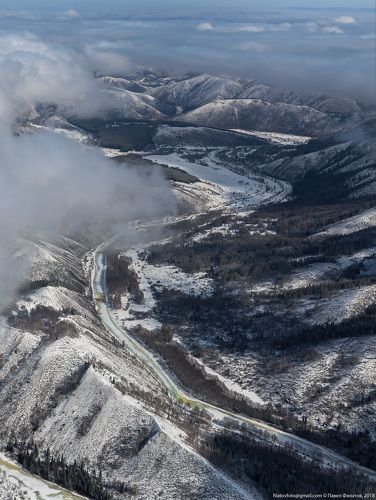 Белая