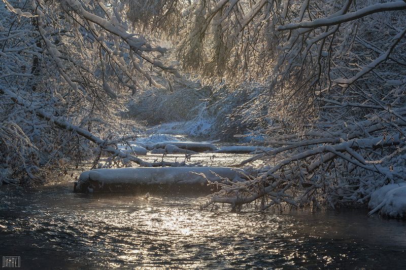 зима, снег, река, деревья, мороз, свет, Тоннель фото превью