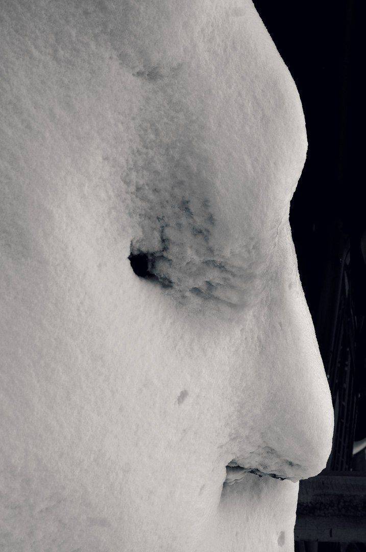 , ПОЛУЕВ ИЛЬЯ