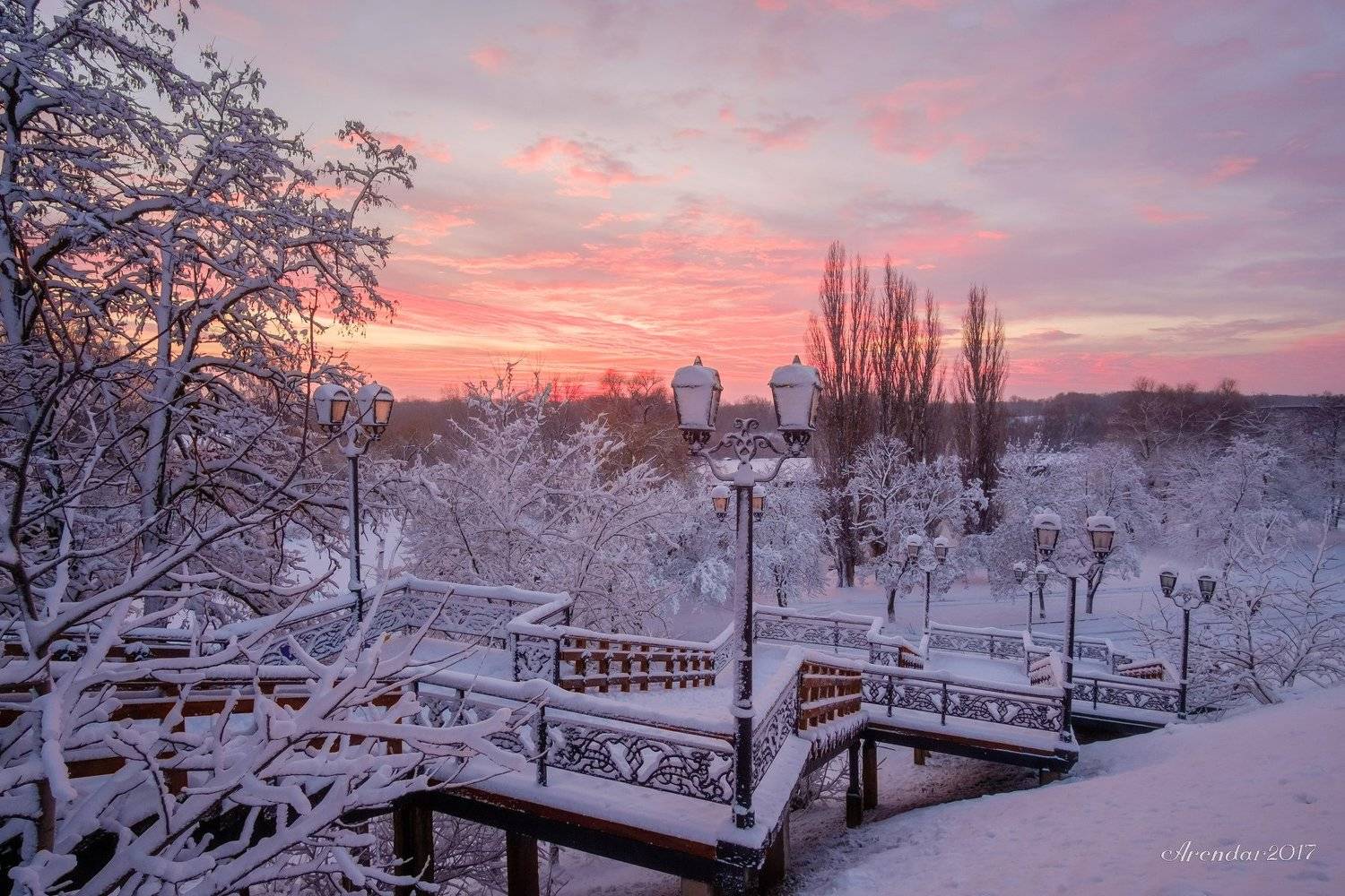 пейзаж,природа,зима,иней,березы,снег,nature,landscape,snow,frosty,cold,socold, Alex Arendar