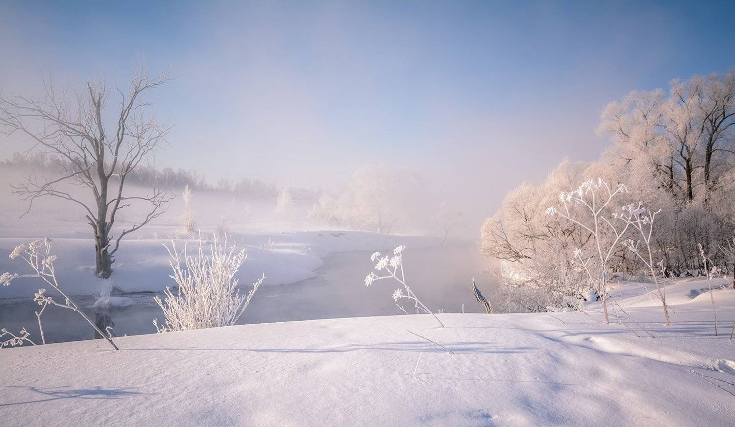 , Анатолий Зверев