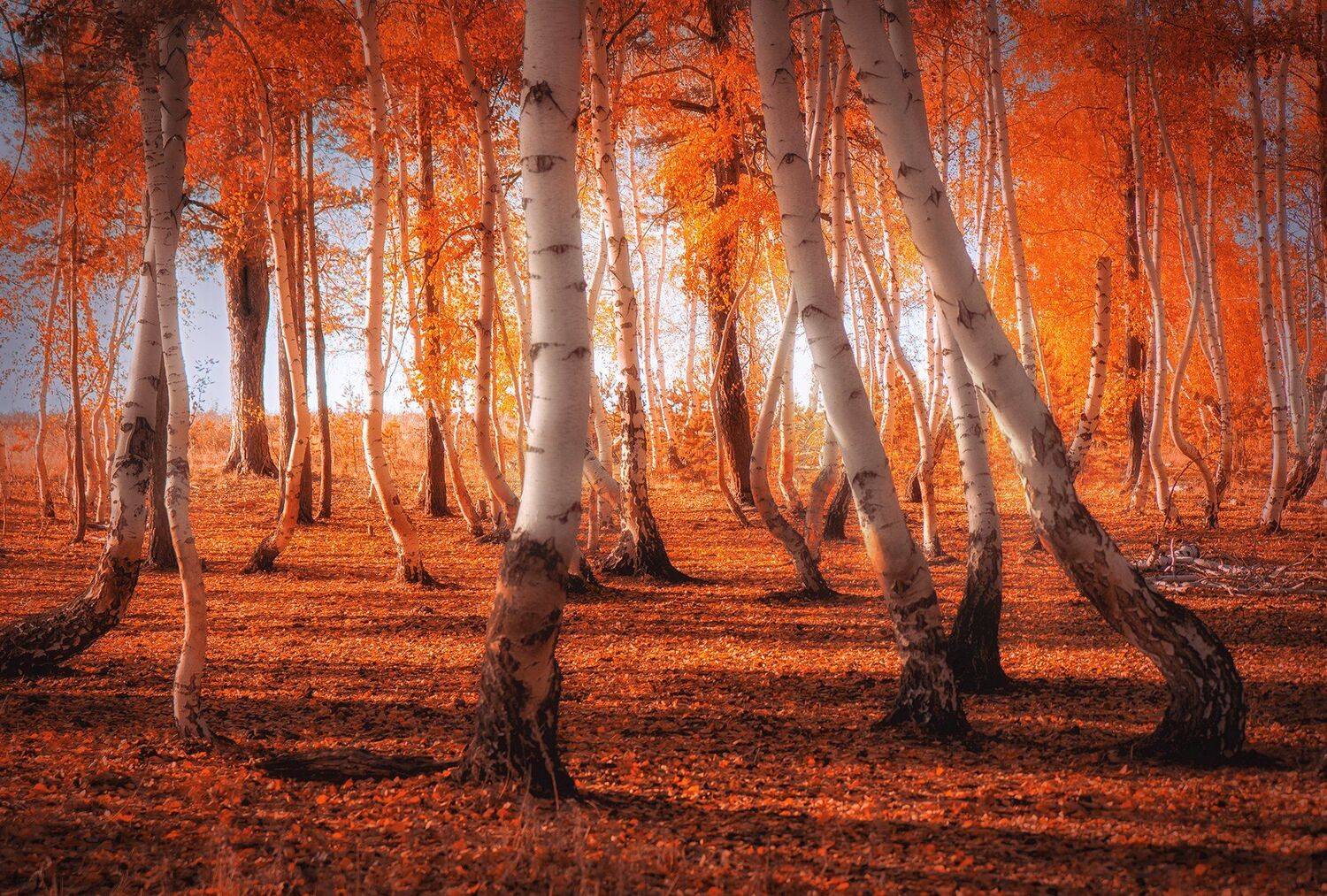 , Павел Сагайдак