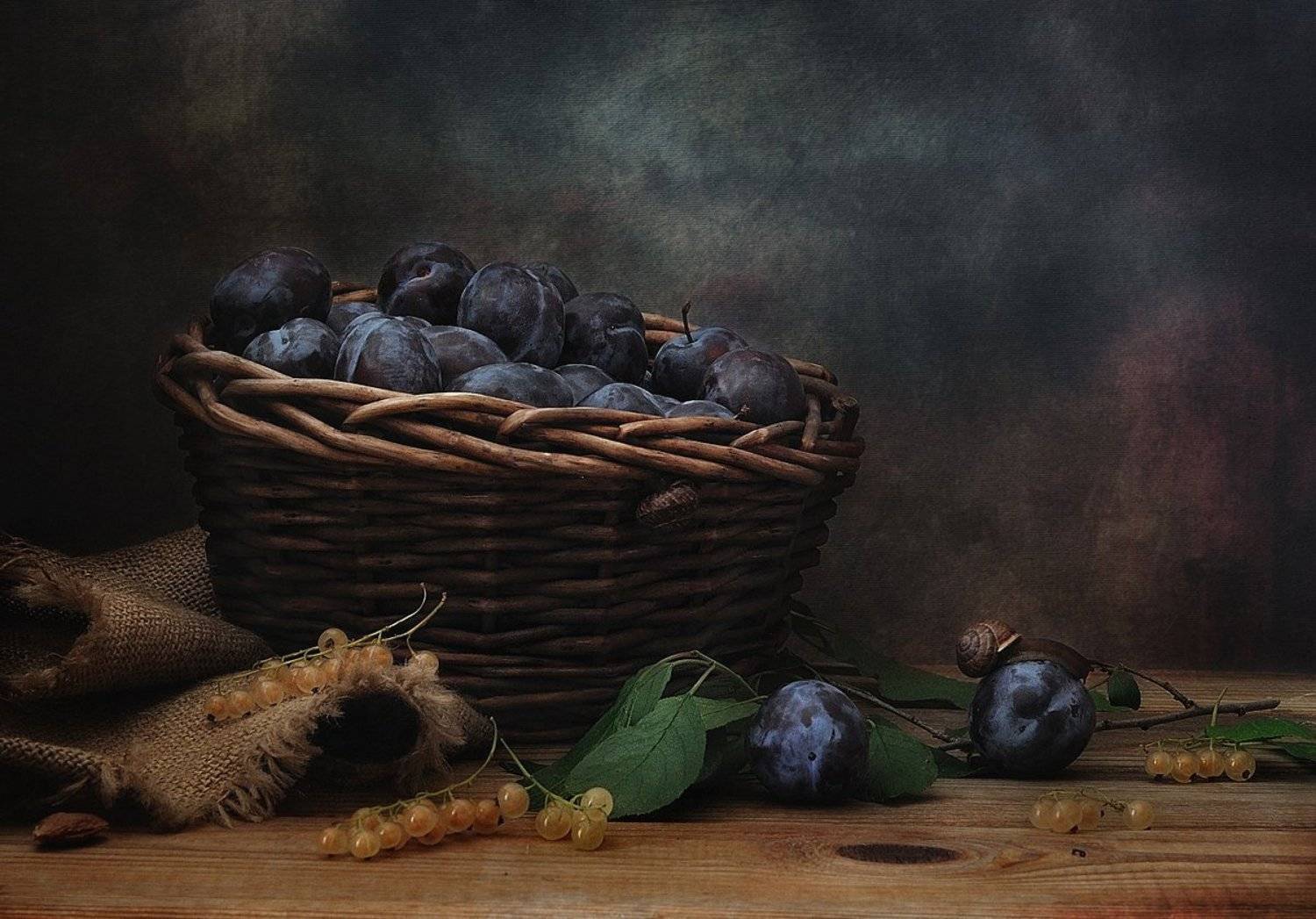 натюрморт,сливы,улитки, Наталия