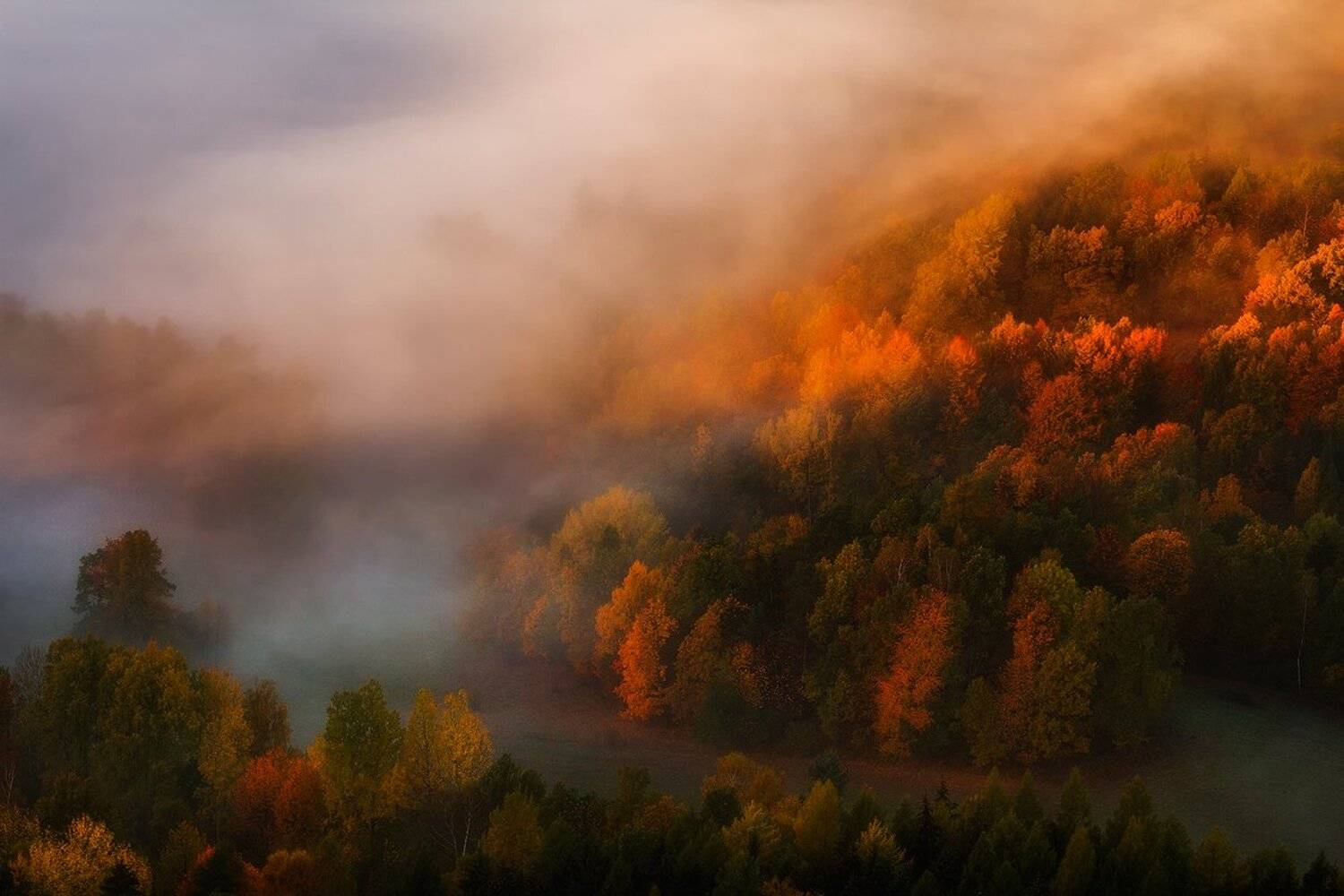 landscape,canon,mist,light,autumn, Iza i Darek Mitręga