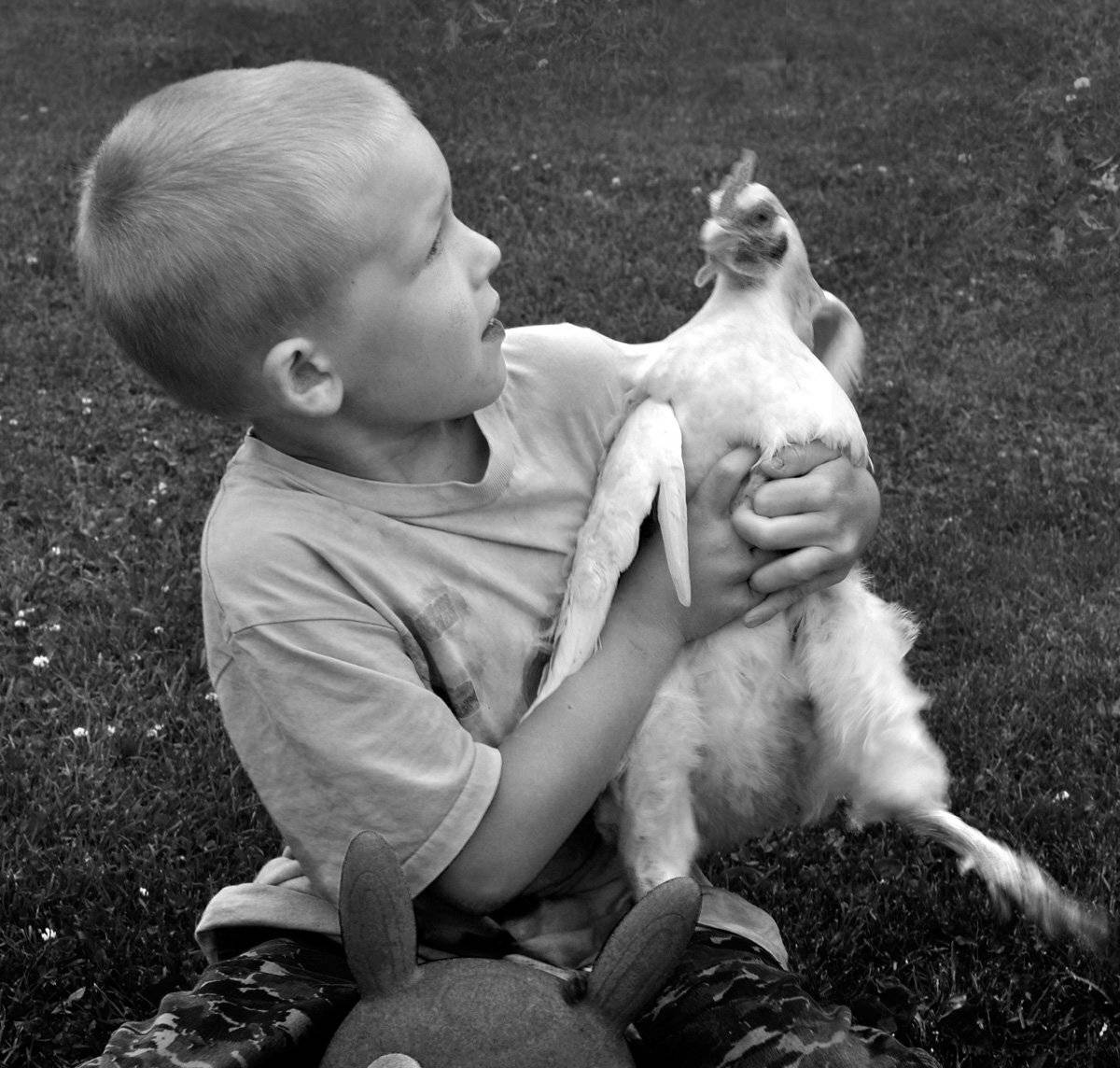 деревня, детство, Rimantas Petrikas