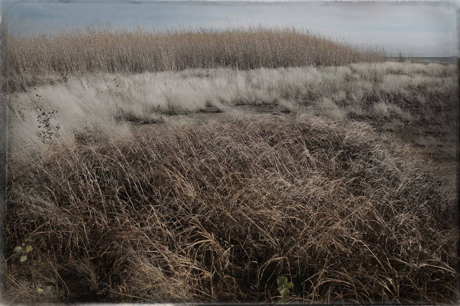 , Виктор Кириллов