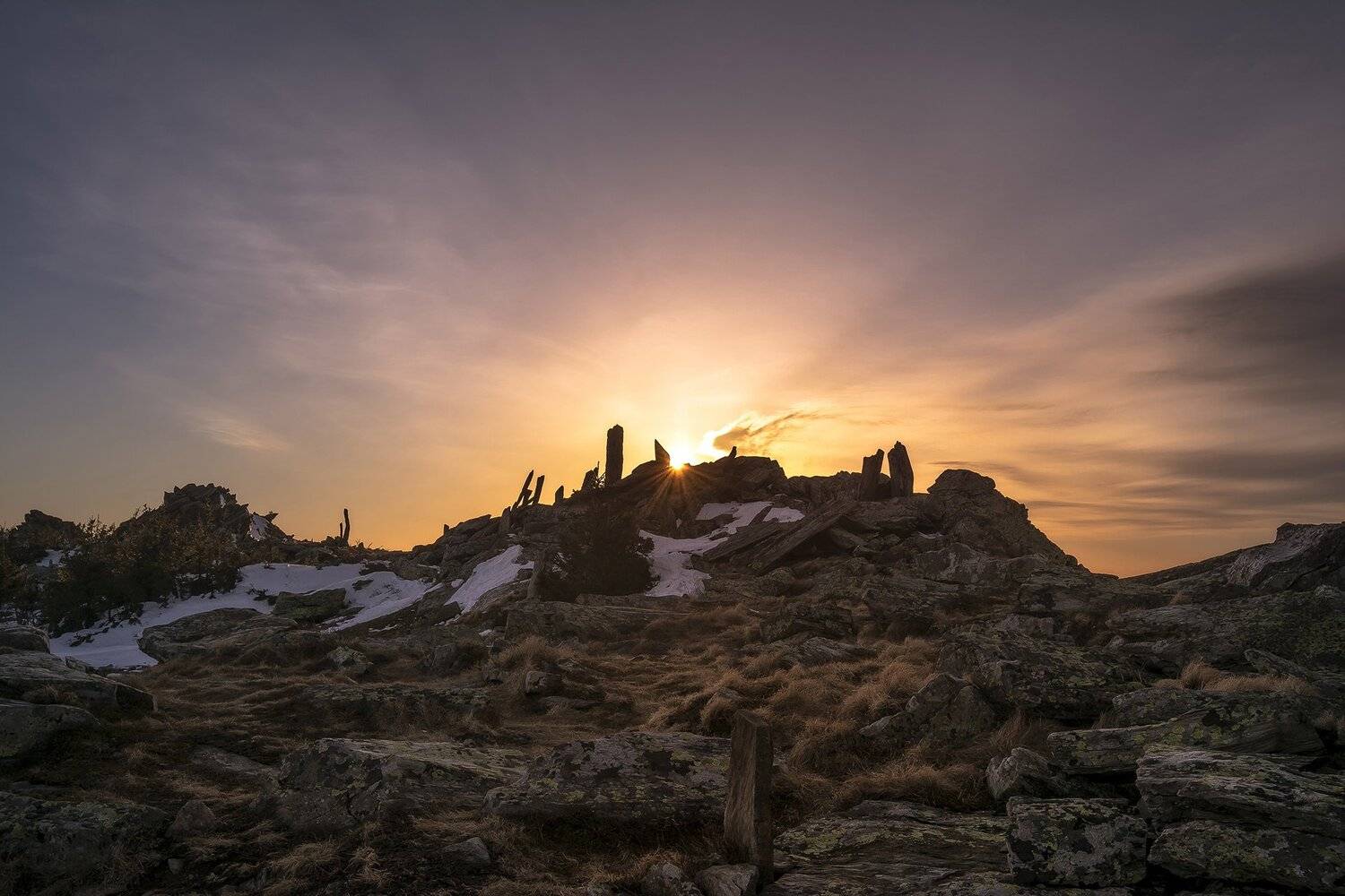 , Андрей Шарапов