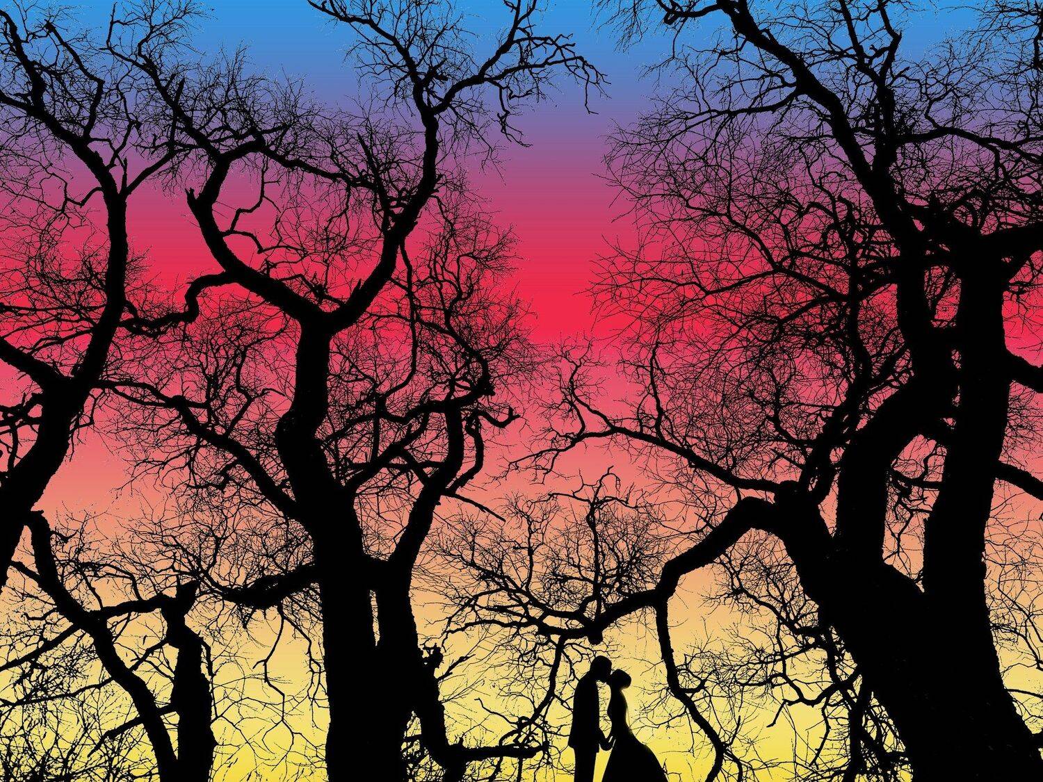 свадебное, свадьба, молодожены, невеста, свадебная пара, деревья, wed, wedding, wedding couple, bride, trees, pomoleyko, помолейко, Павел Помолейко