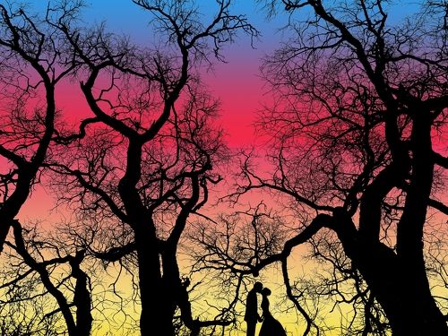 among the trees