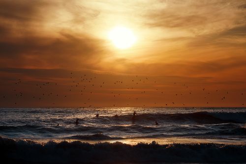 русский серфинг.