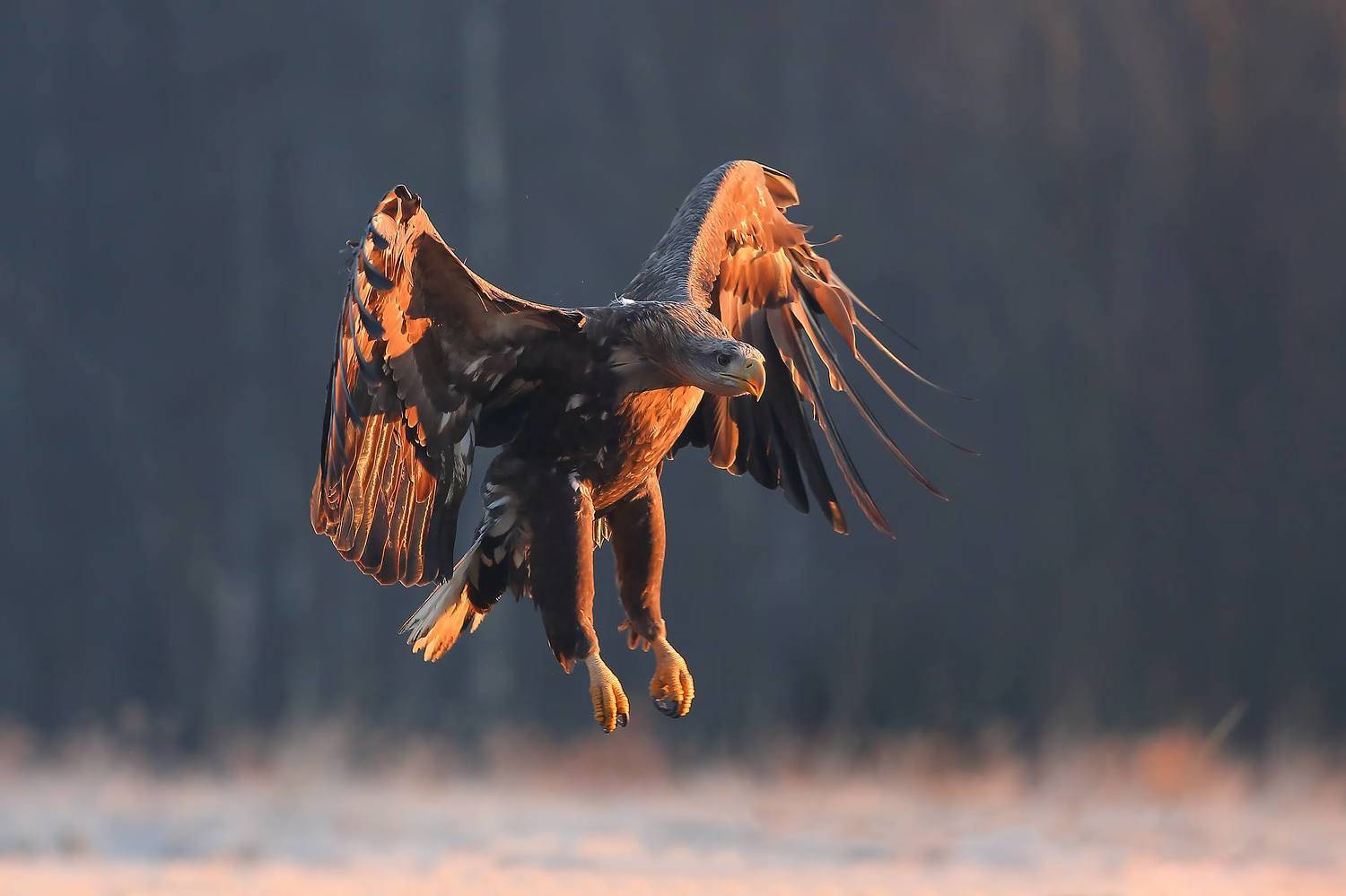 , Łukasz Sok&oacute;ł