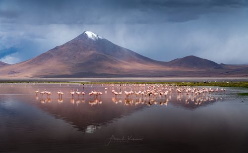 Тайны Laguna Colorado...