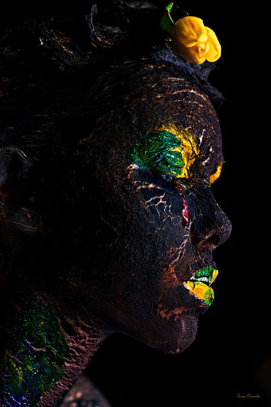 люди, портрет, арт, фейсарт, бодиарт, земля, мир, слеза, война, пепел, жизнь, фотокузница, ivankovale Planet Life фото превью