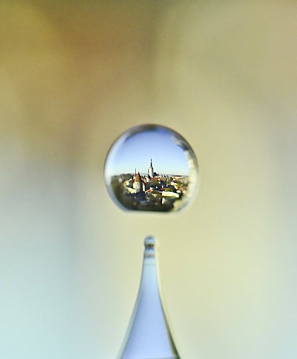 таллинн,город,макро,вода,капля, Natali Bol