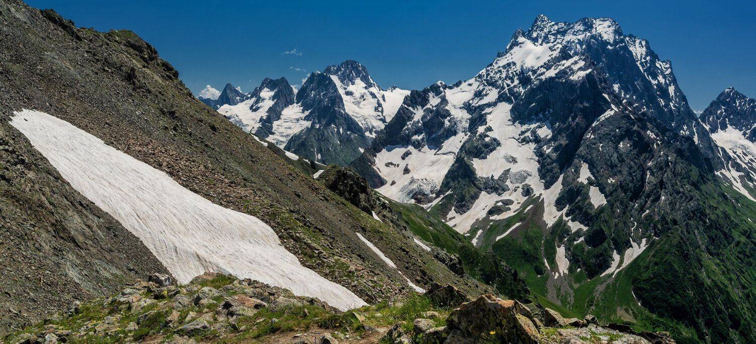 , Игорь Мелекесцев