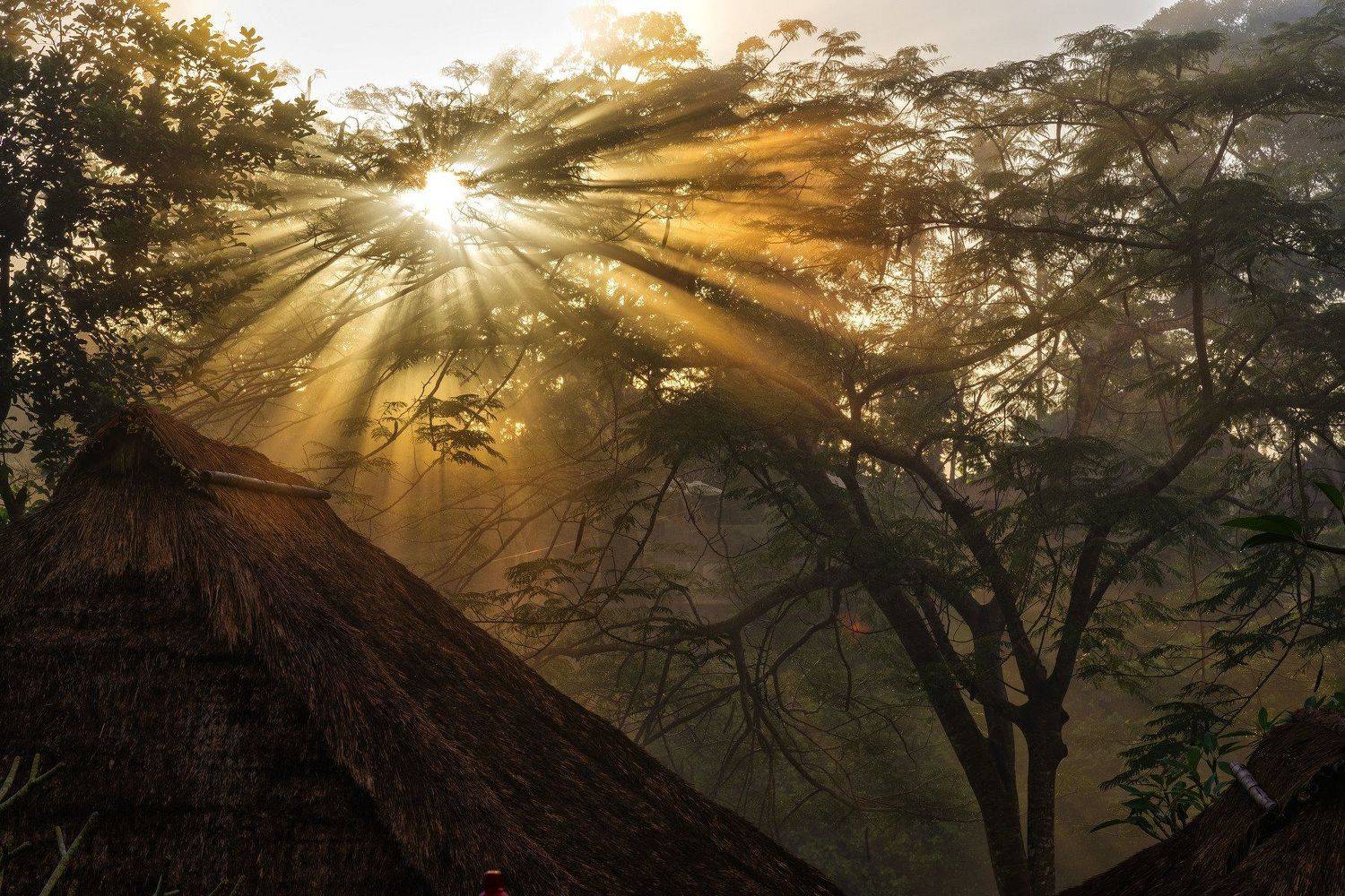 , Владимир Фирсов