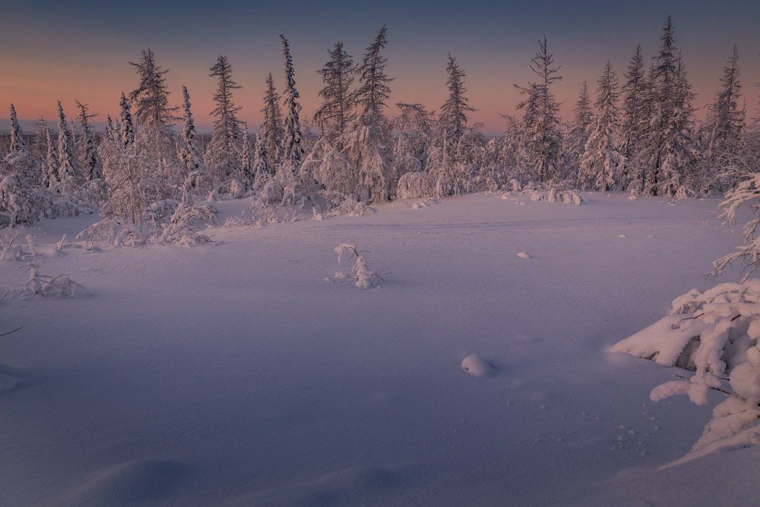 , Евгений Кужилев