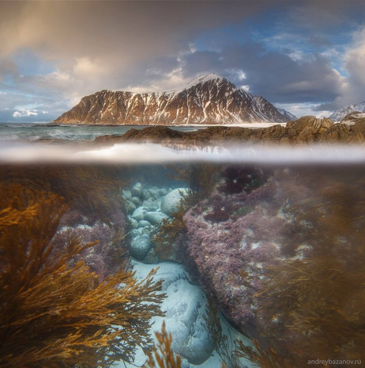 , Андрей Базанов