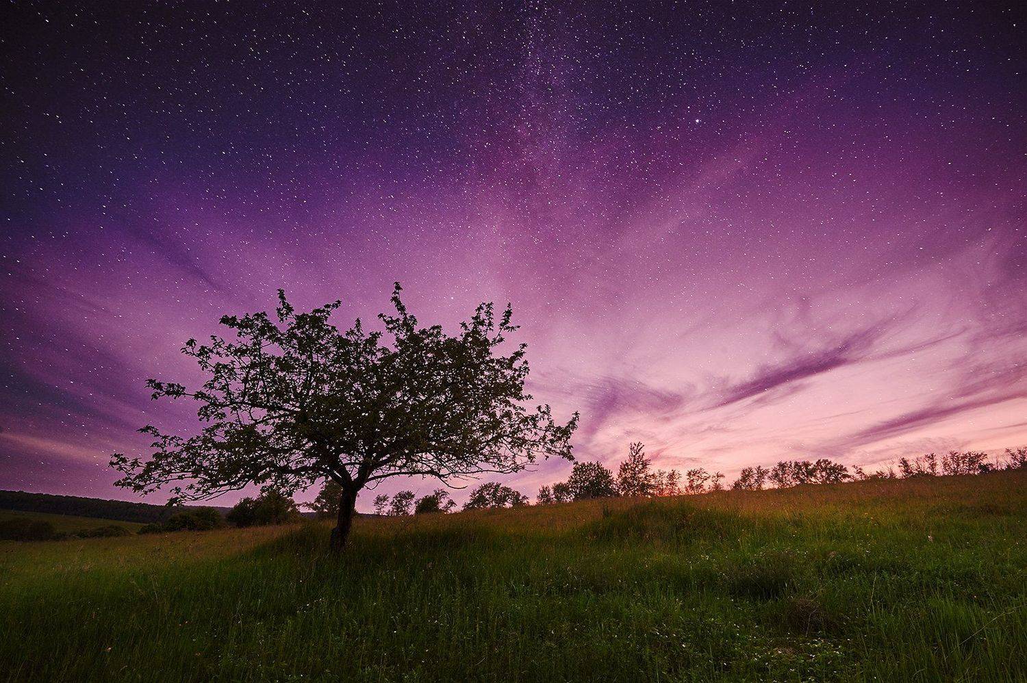 , Каревский Дмитрий