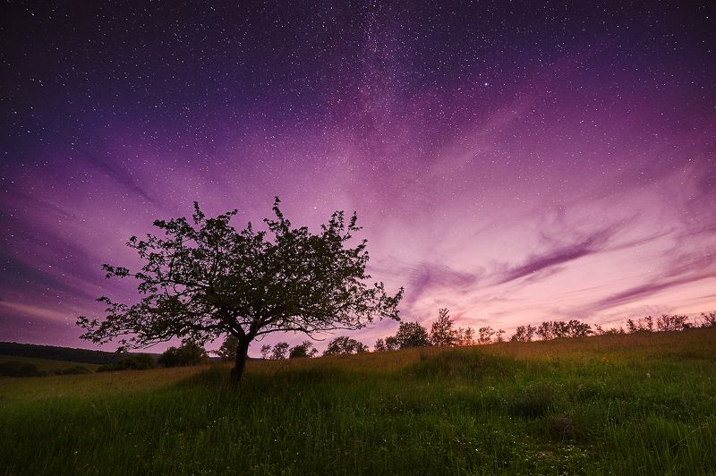 Воскрешение фото превью