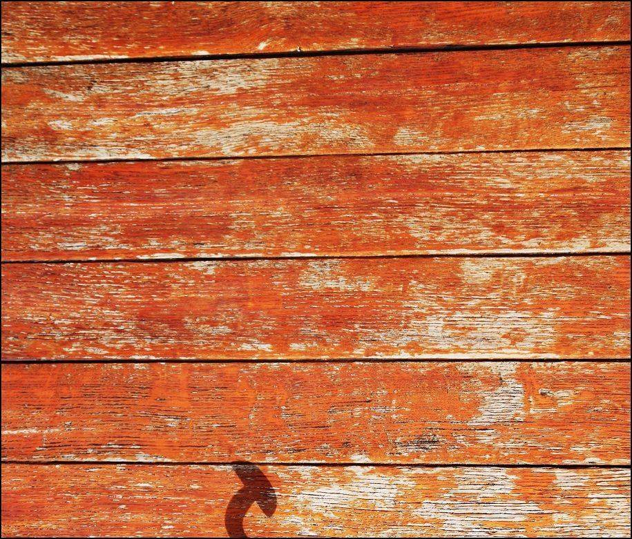 , Krzysztof Trojanowski