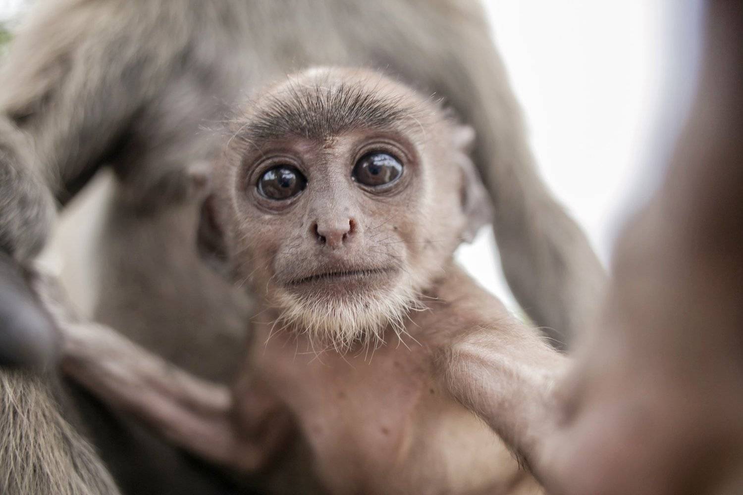 Gobindapaul, Street, Aisa, Urban, child, Bangladeshi_photographer, color,digital, , Gobinda Paul