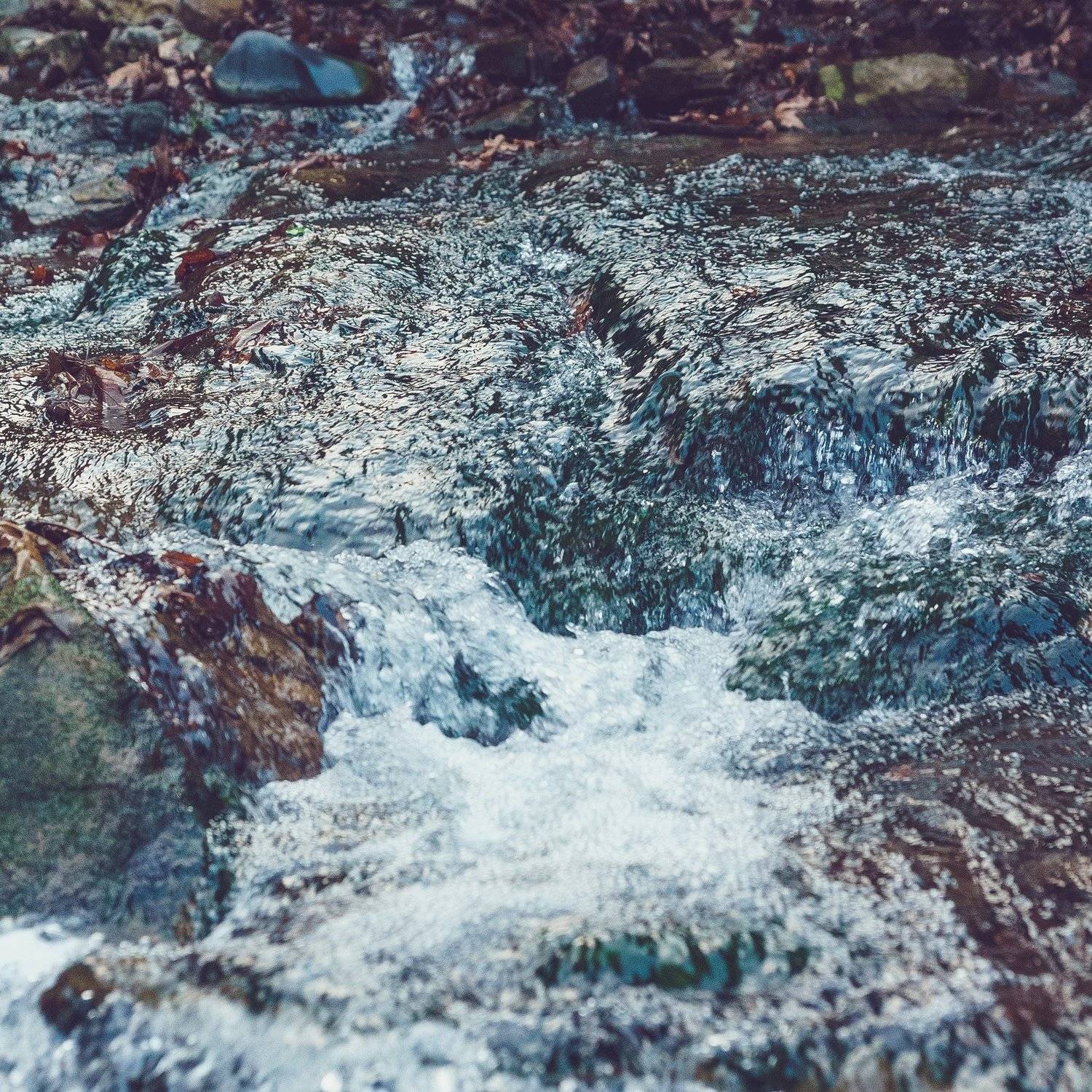 , Астрид Екатерина