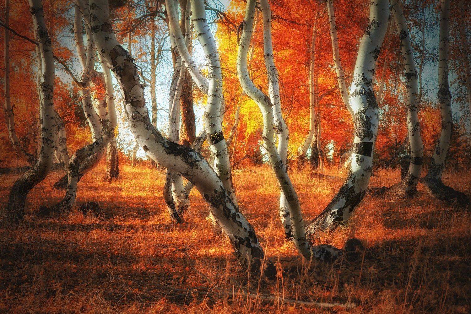 , Павел Сагайдак