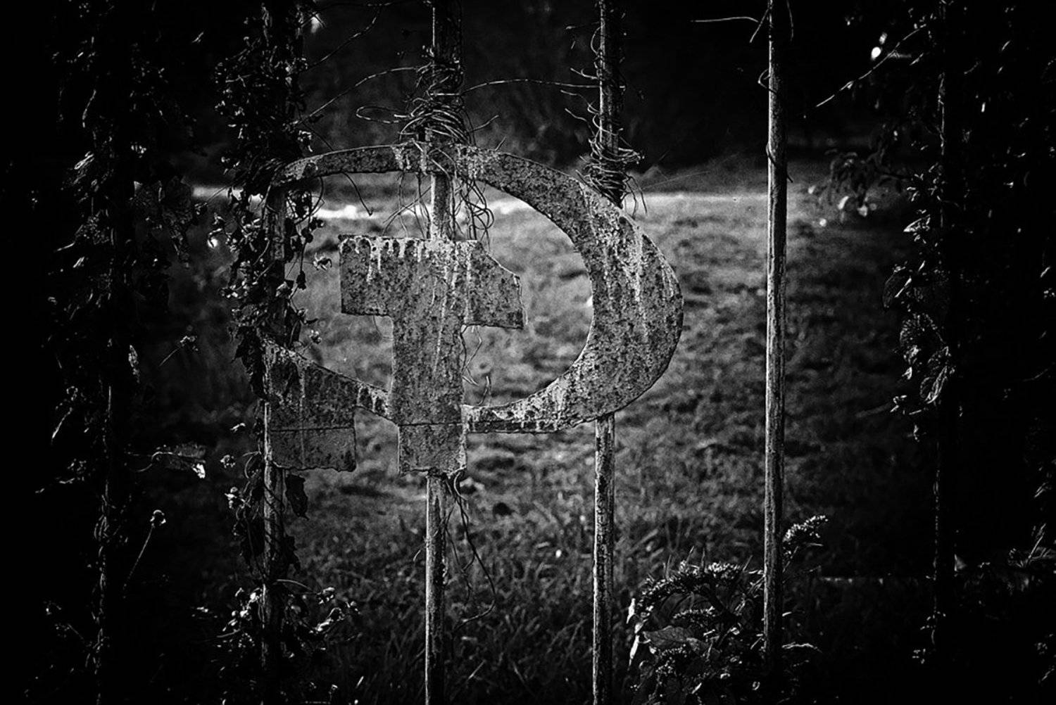 , Геннадий Новов