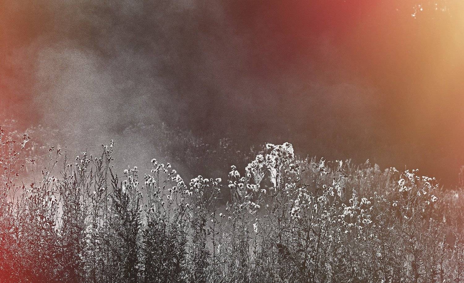 photo, photo studio, photo travel, photo nature, woomen, Juris Zēbergs