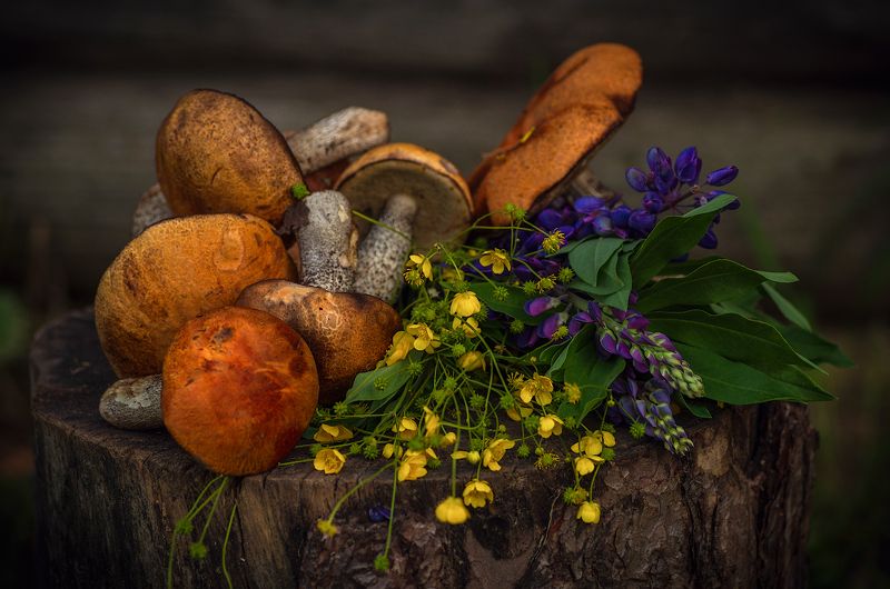 про июнь и первые грибочки фото превью