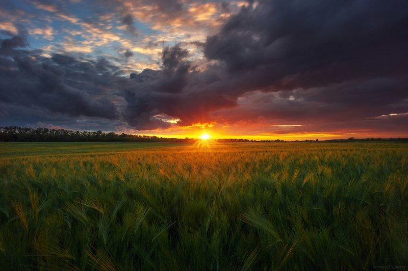 Родные просторы фото превью