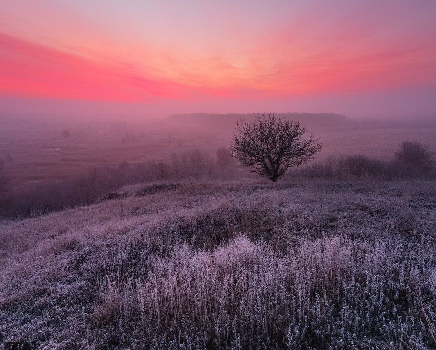 Landscape, light, mood, morning, nature, panorama, sky, sunrise, winter, дерево, иней, панорама, пейзаж, природа, рассвет, свет, туман, Утро, холмы, hills, Magic, colors, frost, foggy dawn, countryside, Ivan Maljarenko
