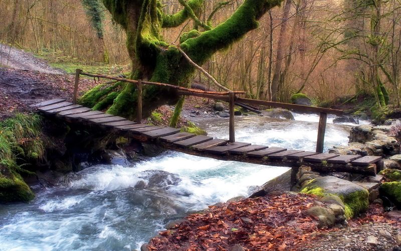 мостик река Мостик. Времена года. фото превью