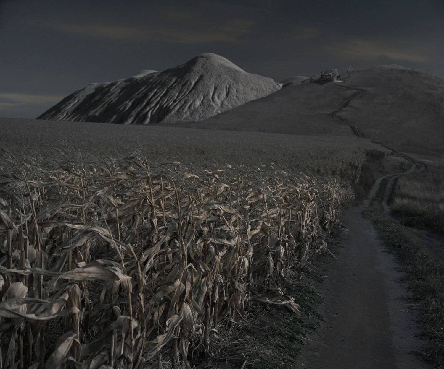 , Виктор Кириллов