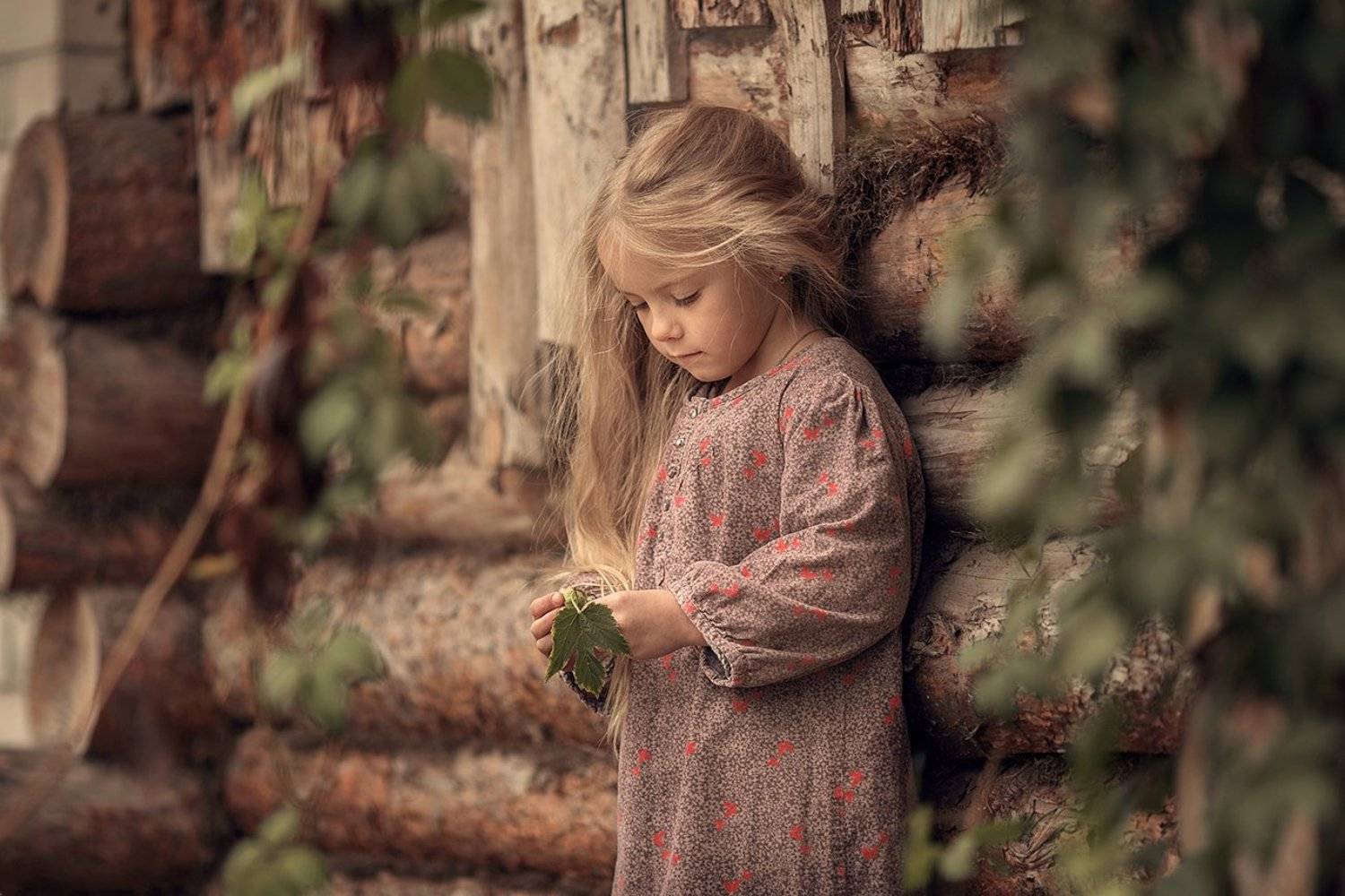 , Дарья Степанова