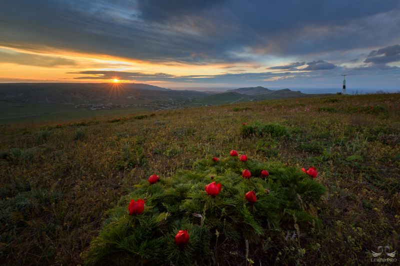 Рассвет весенний фото превью