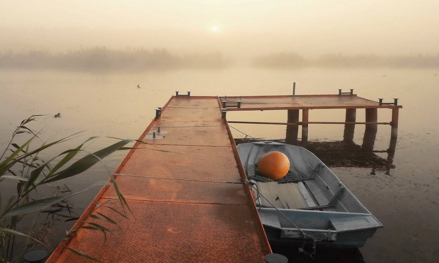 одесса, Сергей Кошелев