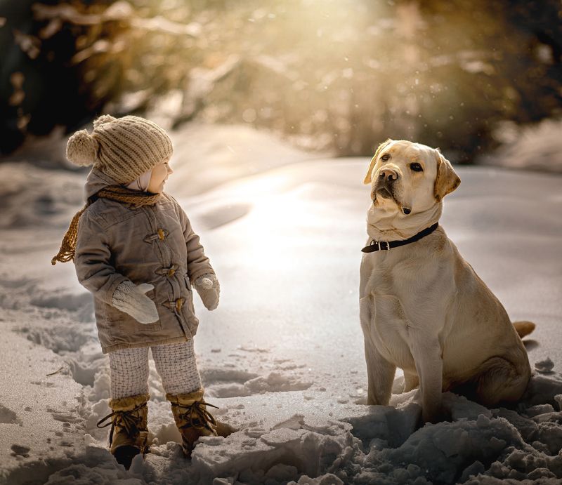 Большой друг фото превью