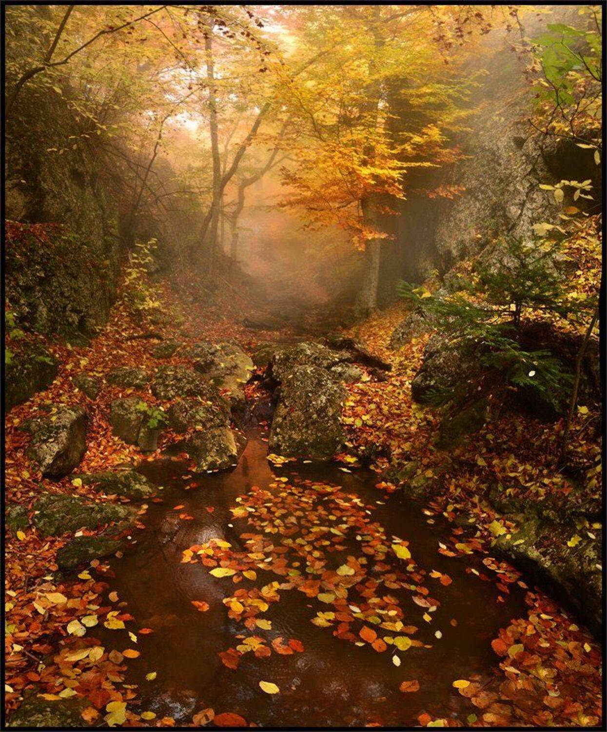 , Владимир Метцгер