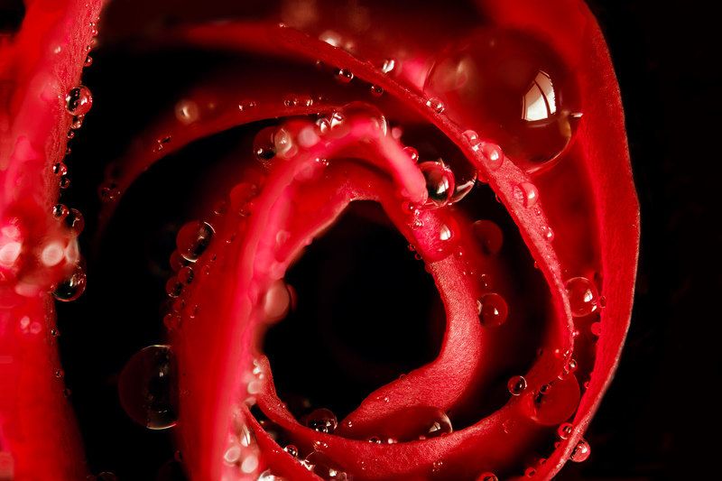 У окна фото превью