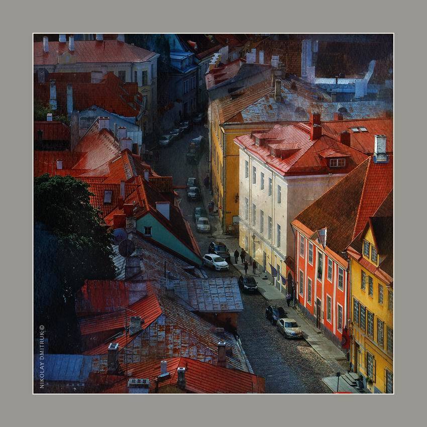 город музыка, николай дмитрук