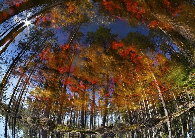 Плеяды фото превью