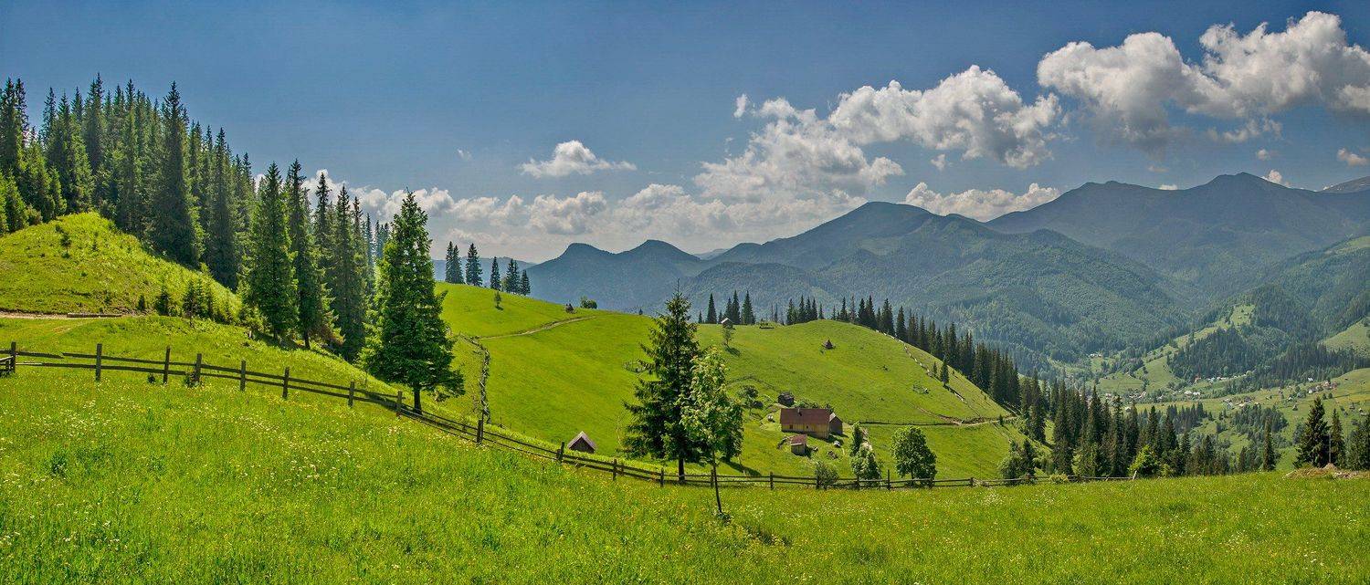 карпаты, июнь, дземброня, черногорский хребет, Валерий Наумов