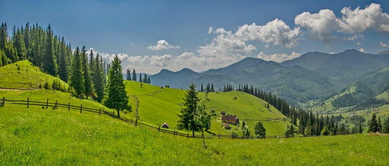 карпаты, июнь, дземброня, черногорский хребет Карпатские просторы фото превью